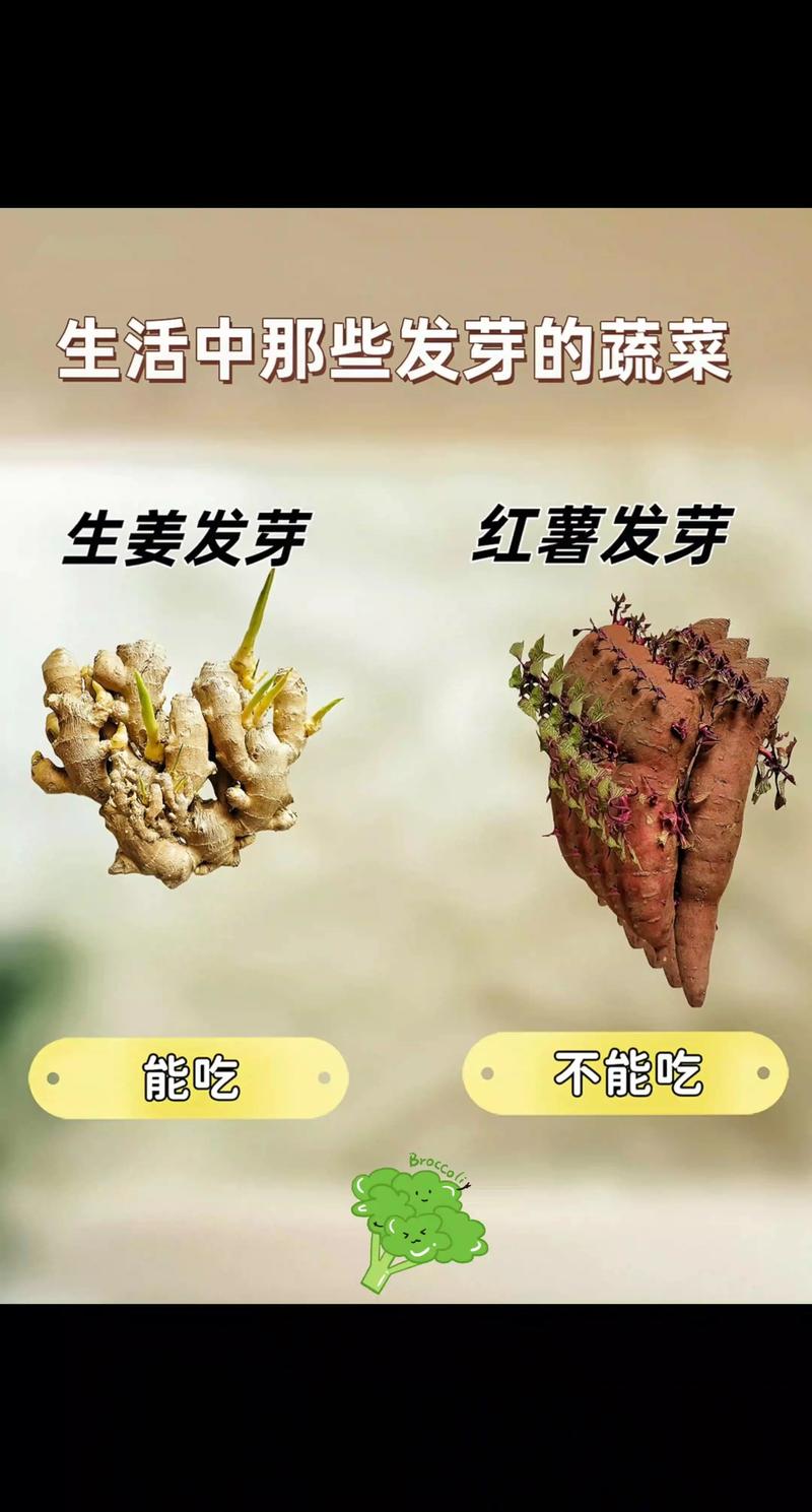 家居生活小技巧大放送：让你的房子焕发新颜